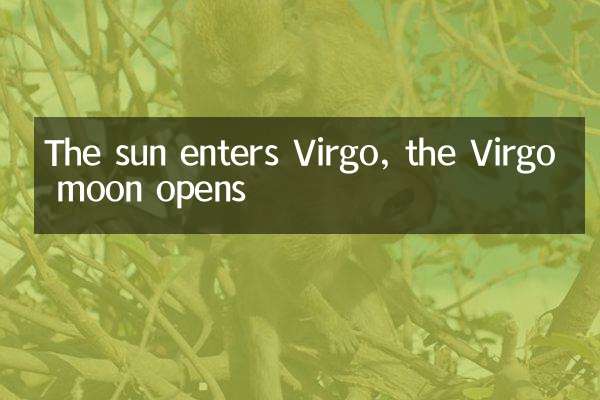 The sun enters Virgo, the Virgo moon opens