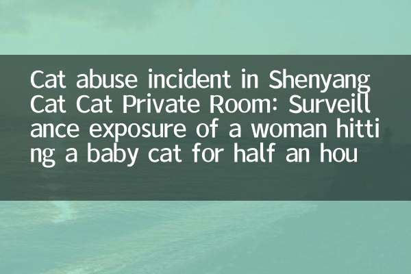 Cat abuse incident in Shenyang Cat Cat Private Room: Surveillance exposure of a woman hitting a baby cat for half an hour