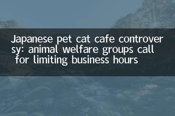日本宠物猫咖啡馆争议：动物福利组织呼吁限制营业时长
