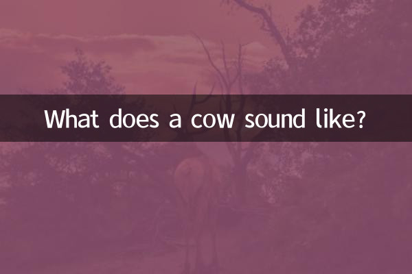 What does a cow sound like?