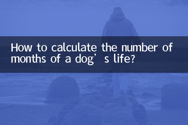 犬の寿命の月数を計算するにはどうすればよいですか?