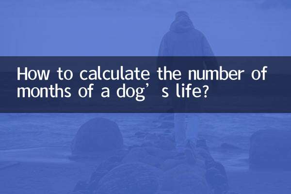 犬の寿命の月数を計算するにはどうすればよいですか?