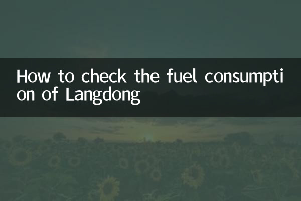 Come controllare il consumo di carburante di Langdong