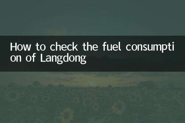 Cómo comprobar el consumo de combustible de Langdong