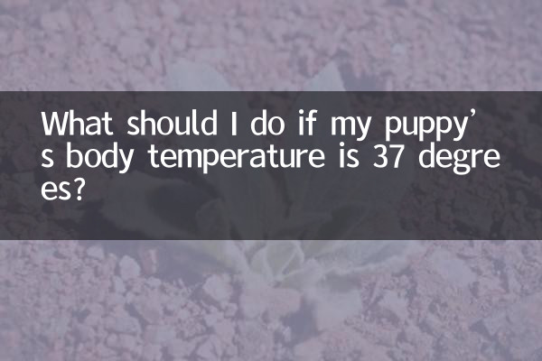 강아지 체온이 37도라면 어떻게 해야 하나요?