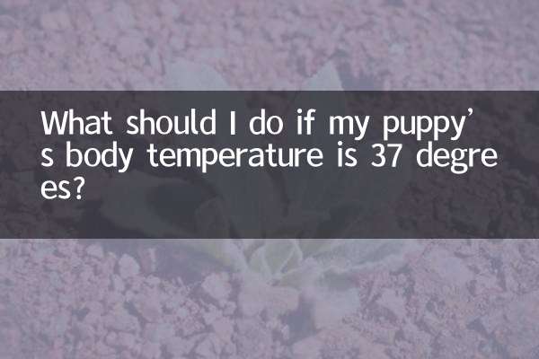 اگر دمای بدن توله سگ من 37 درجه باشد چه باید بکنم؟