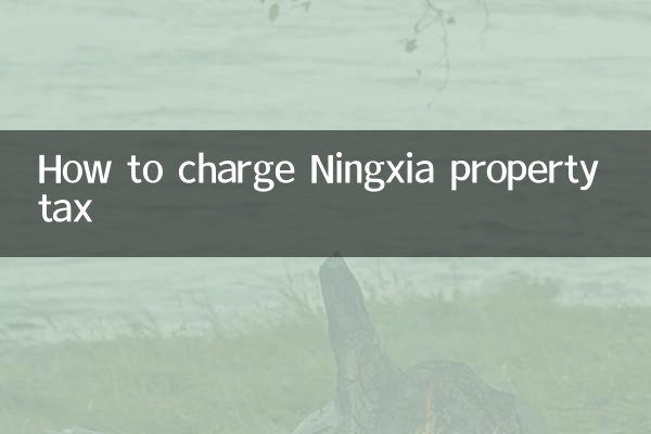 ننگسیا پراپرٹی ٹیکس کو کیسے چارج کریں