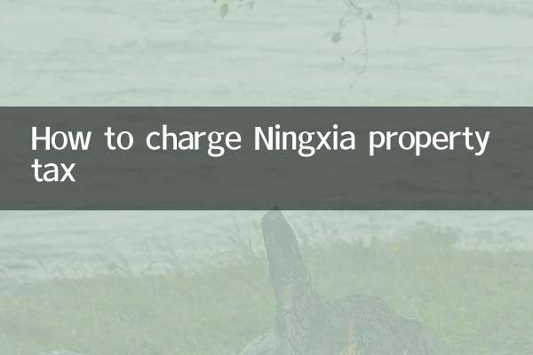 ننگسیا پراپرٹی ٹیکس کو کیسے چارج کریں