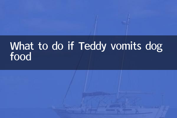 Что делать, если Тедди вырвало собачьим кормом