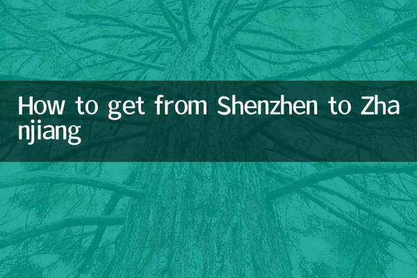How to get from Shenzhen to Zhanjiang
