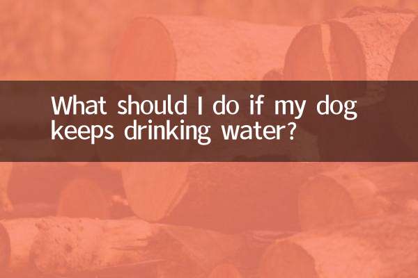 狗一直喝水怎么办