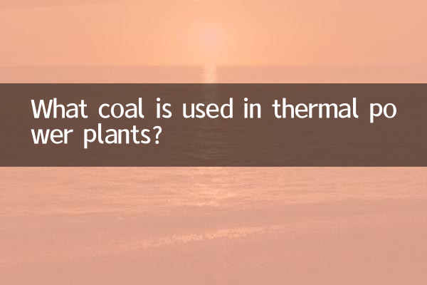火力発電所で使われる石炭は何ですか?