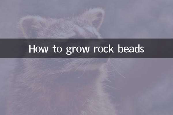 راک موتیوں کی مالا کیسے اگائیں