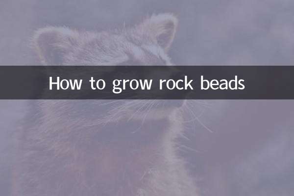 راک موتیوں کی مالا کیسے اگائیں