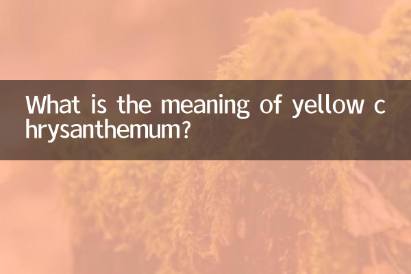 Quelle est la signification du chrysanthème jaune ?