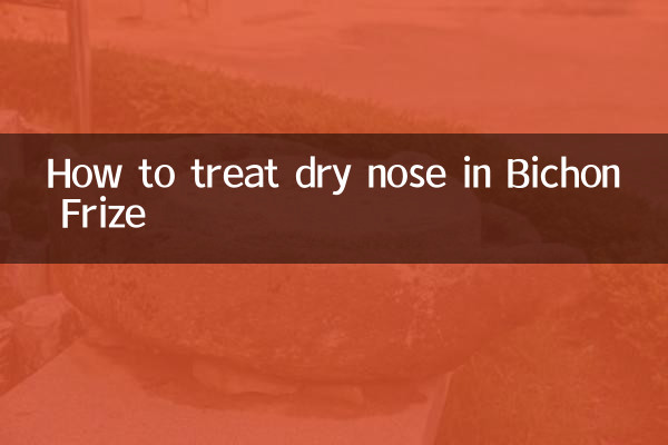 比熊鼻子干怎么治疗