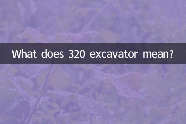 Cosa significa escavatore 320?