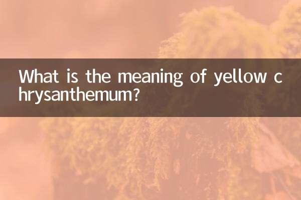 Qual è il significato del crisantemo giallo?