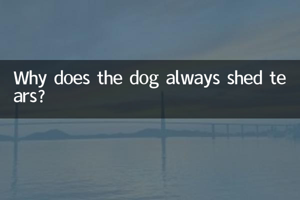 Why does the dog always shed tears?