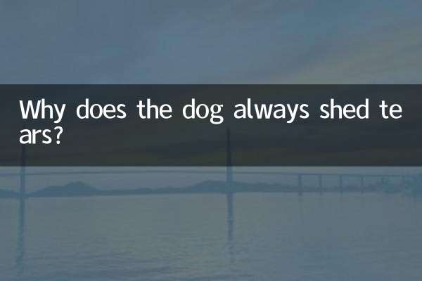 Why does the dog always shed tears?