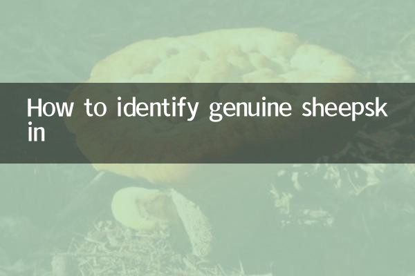 Come identificare la vera pelle di pecora