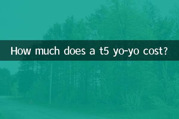 كم تكلفة t5 يو يو؟