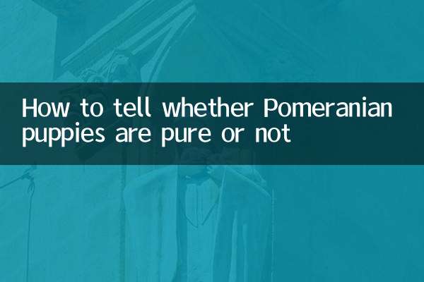 How to tell whether Pomeranian puppies are pure or not