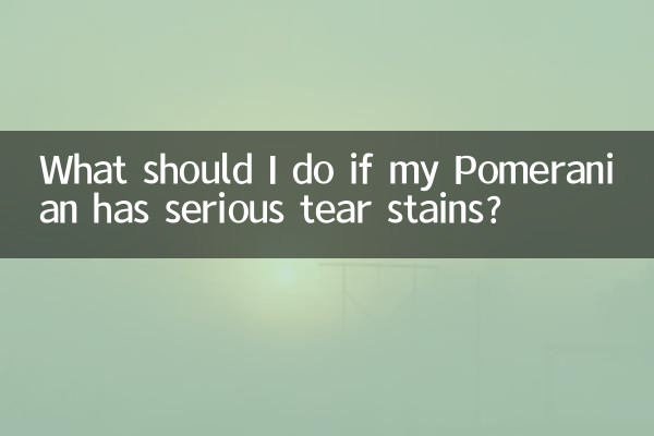 Que dois-je faire si mon Poméranien a de graves taches de larmes ?
