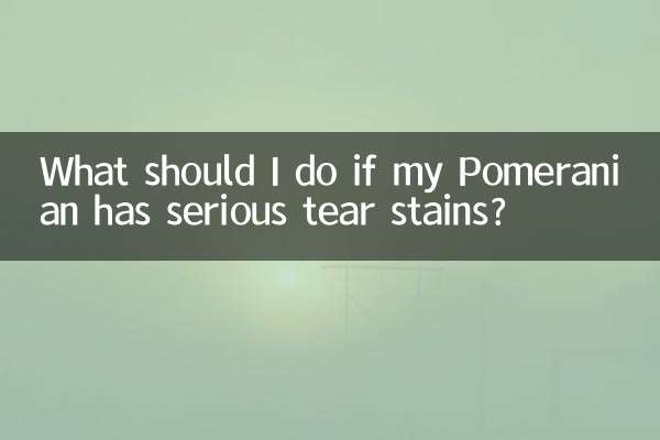 博美泪痕很严重怎么办