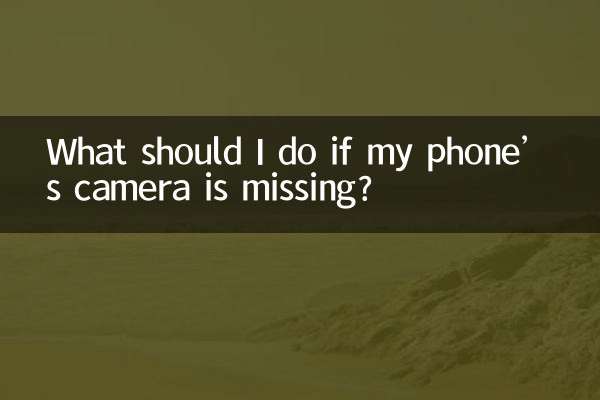 اگر دوربین گوشیم گم شد چه کار کنم؟