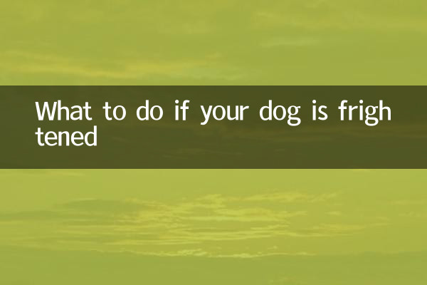 Was tun, wenn Ihr Hund Angst hat?