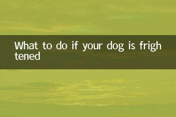 Was tun, wenn Ihr Hund Angst hat?