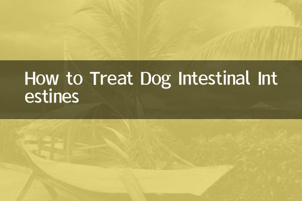 How to Treat Dog Intestinal Intestines