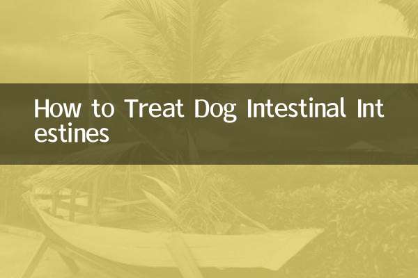 How to Treat Dog Intestinal Intestines
