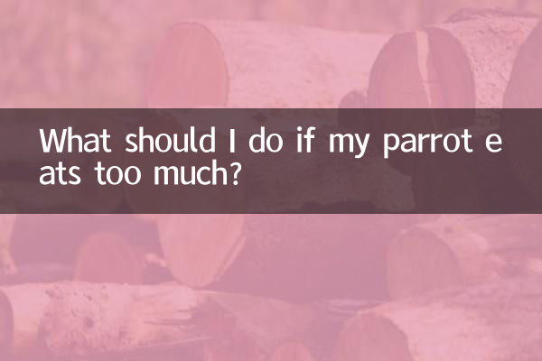 What should I do if my parrot eats too much?