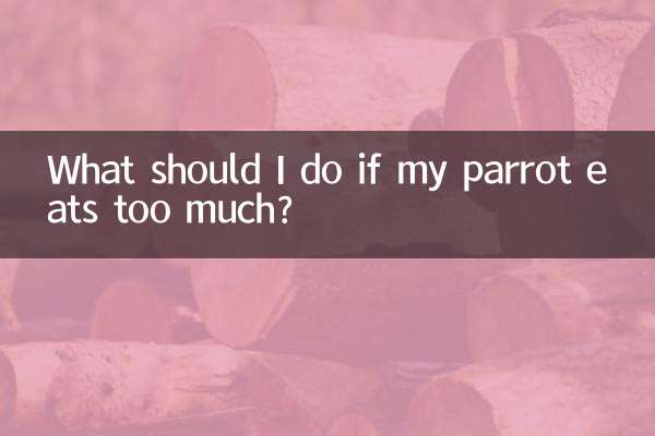 What should I do if my parrot eats too much?