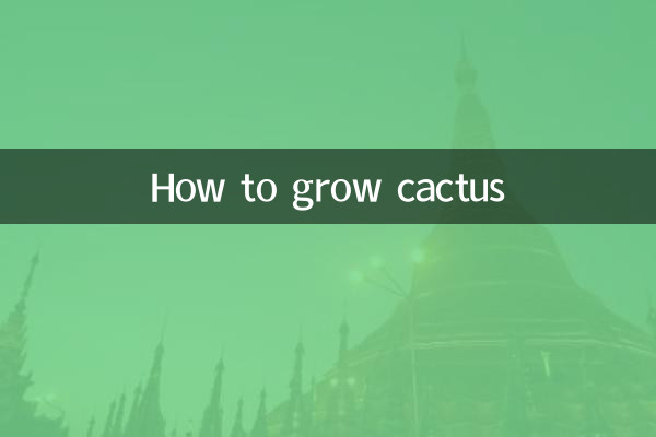 How to grow cactus