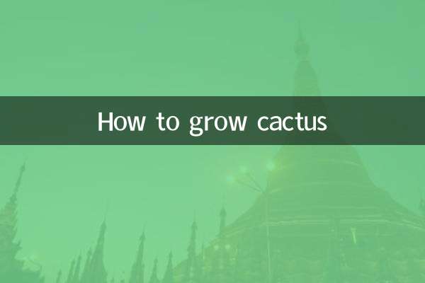 How to grow cactus