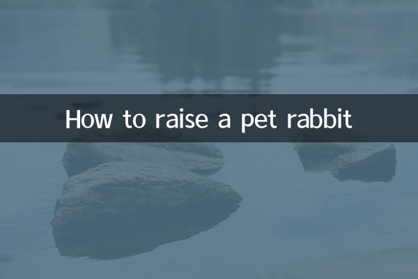 Как вырастить домашнего кролика