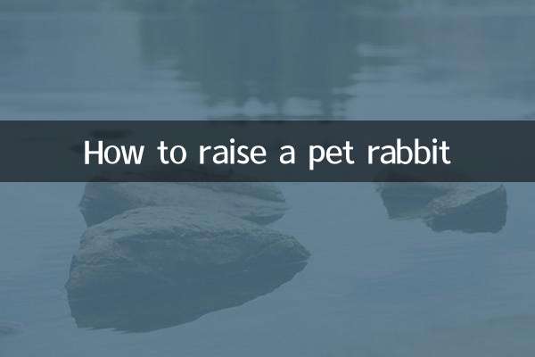 Как вырастить домашнего кролика