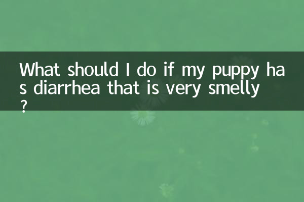 Cosa devo fare se il mio cucciolo ha una diarrea molto maleodorante?