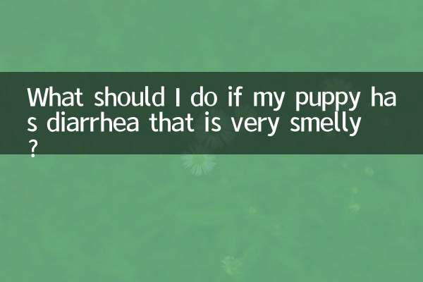 小狗拉稀很臭怎麼辦