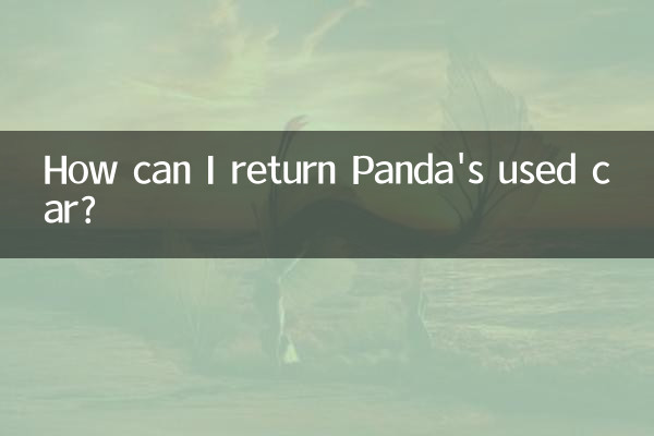 كيف يمكنني إرجاع سيارة باندا المستعملة؟