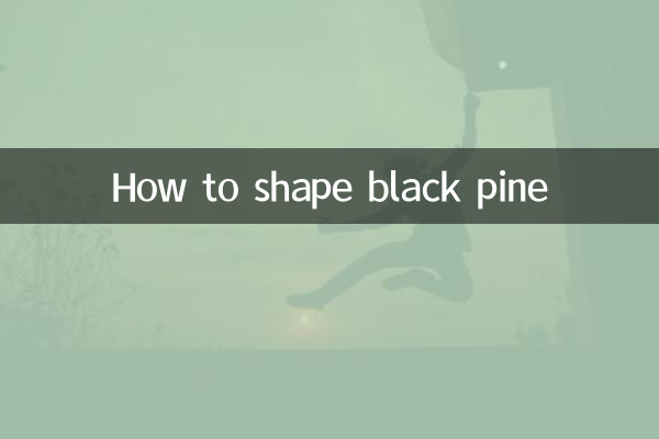 كيفية تشكيل الصنوبر الأسود