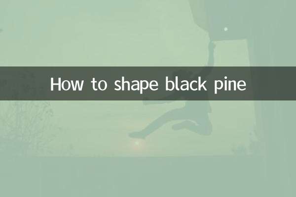 黑松怎麼造型