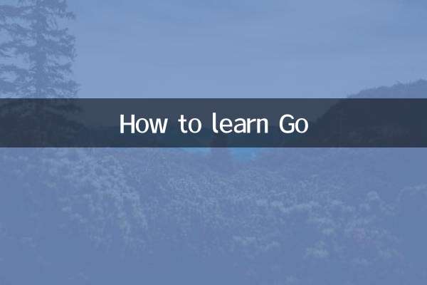 কিভাবে গো শিখতে হয়