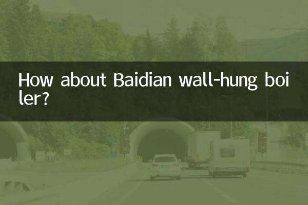 How about Baidian wall-hung boiler?