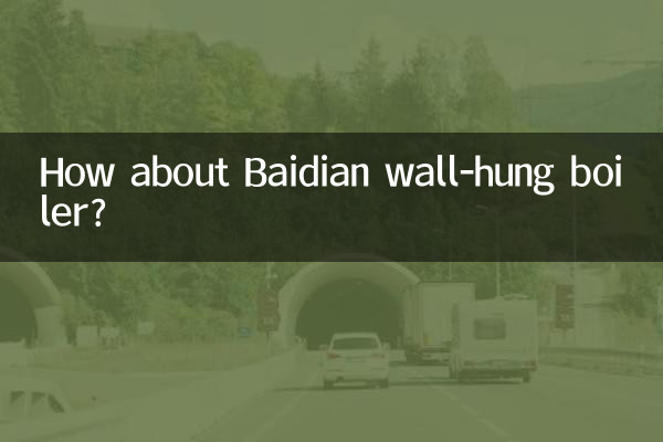 How about Baidian wall-hung boiler?