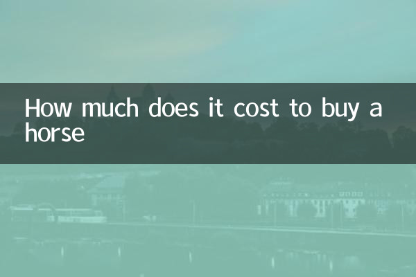 Quanto costa comprare un cavallo