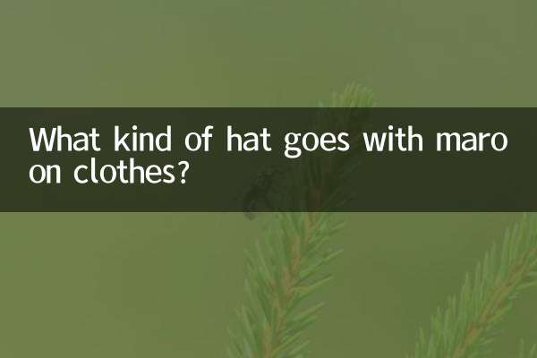 枣红色衣服配什么帽子